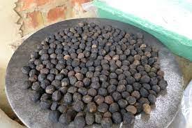 Image result for Ricinodendron