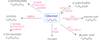 However, complex carbs allow glucose levels to rise slowly, whereas simple carbs are converted to glucose very. Carbohydrates