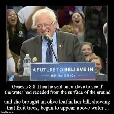 Bernie Sanders Bird Imgflip