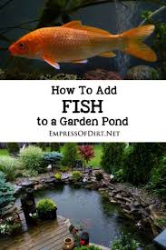 Landscape Gardening Lincoln Outside Landscape Gardening Jobs Bradford Landscape Gardening Rather Landscape Garden Pond Landscaping Ponds Backyard Fish Garden