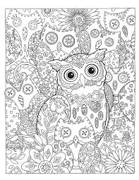 Malvorlagen info herunterladen online anmalen. Creative Haven Owls Coloring Book By Marjorie Sarnat Owl And Baby Ausmalbilder Malbuch Cute766