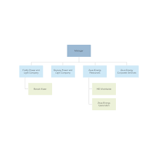 Corporate Structure Chart