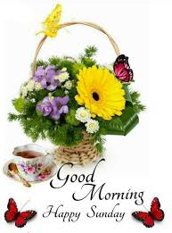 Let today's stellar atmosphere help you to reach new heights. Pin By Terawan On Greetings In English Good Morning Flowers Good Morning Happy Thursday Good Morning Happy Monday