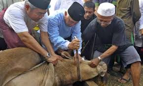 Rasulullah saw memberikan pedoman kapan dan hewan yang diakikahkan. Hukum Membaca Bismillah Saat Sembelih Hewan Kurban Bincang Syariah