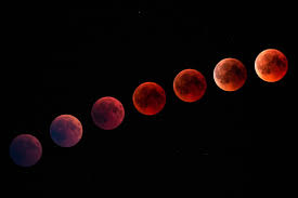 The great new moon and solar eclipse on june 21 occurs at zero degrees cancer, which is an auspicious degrees. Super Blood Moon Total Lunar Eclipse In Leo Jennifer Racioppi