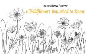 Kids ask questions to learn about their world and how things work. Learn To Draw Flowers 6 Wildflowers You Need To Know Isa Down Skillshare
