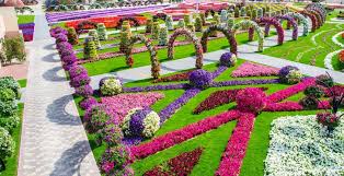 The dubai mall is one of the largest shopping destinations in the world. Miracle Garden Dubai Deals On Tickets Tours