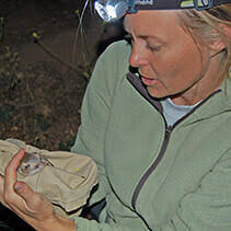 Applied Animal Ecology