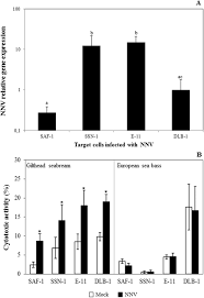 Innate Cell Mediated Cytotoxic Activity Of European Sea Bass