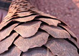 Neil we've even seen scales be shipped to the us. the species is thought to be close to extinction. Gallery Pangolin