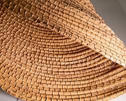 Bildergebnis für Yvonne Koolmatrie