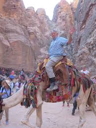 If i don't see that yellow ribbon round the old oak tree bus driver please look for me. The Holyoaks In The Holy Land Camels