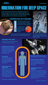 If it doesn't land, how do the people and stuff get down? How Astronaut Hibernation For Deep Space Travel Works Infographic Space
