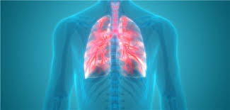 Sie ist ansteckender, resistenter gegen impfstoffe und tödlicher. Pymufkeqdejhtm