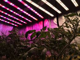 At each hanging height we measured the light intensity in par (ppfd) across the grow canopy with the following results: China Led Grow Light With Hanging Wire 1000w Plant Grow Tube Lamp Led Grow Light Clip China Led Grow Light Led Grow Light Full Spectrum