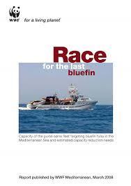 Image result for Azzurro Tirreno 1992 Fleet