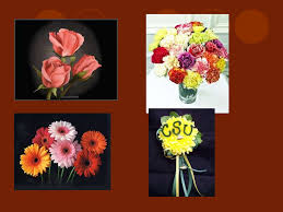 Focal point shape and pattern in floral arrangement. Principles Of Floral Design 4 Main Types Of Flowers Ppt Download