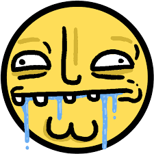 Image result for derp