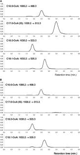 Corresponding Increase In Long Chain Acyl Coa And Acylcarnitine After Exercise In Muscle From Vlcad Mice Sciencedirect