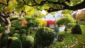 Garden Dream Meanings And Interpretations