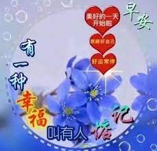 pin by tene chai on 早安chinese decor decorative plates tableware