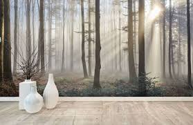 Weitere ideen zu wald wohnzimmer, wohnzimmer, beleuchtungsideen. Nebliger Wald Fototapete