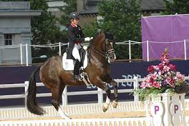 Bitting is probably the thorniest equestrian tack subject. Charlotte Dujardin The Horse Magazine