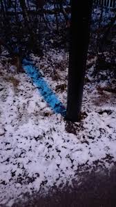 Image result for Light Blue 1992 Shadow