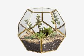 The girls and i made a darling fairy garden in the spring and it lasted a couple of months, but with the super high temps and lack of rain, it wasn't easy to keep it. 8 Best Terrariums And Terrarium Kits Reviewed 2018 The Strategist New York Magazine