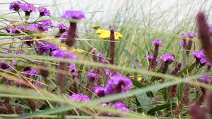 Wheelbarrow Gardening Landscaping Maintenance In Fowey Cornwall