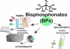 Image result for Bisphosphonates