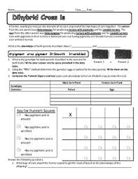 Check spelling or type a new query. Dihybrid Cross Worksheet Teachers Pay Teachers