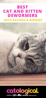 One Of The Most Important Things You Can Do For Your New Pet Is Ensure Their Safety From Parasites Like Worms How Do You Do It Cat Dewormer Cats Cat Parenting
