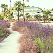 Reasons for this include the loss of natural areas to development, coastal deterioration due to disturbance of. Florida Native Plant Society Fnps