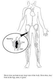 Your Guide To Preventing And Treating Blood Clots Agency For Healthcare Research And Quality