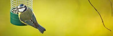 We did not find results for: How To Attract Birds To Your Garden Love The Garden