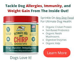 Like any medication, if you are using it on your own you should tell you you can compute the correct amount for pills and liquid benadryl by putting your dog's weight here. 5 Apoquel Alternatives That Are Better For Your Dog Ultimate Dog