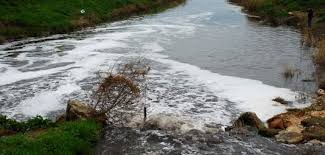 torrente Candelaro Archivi - l'Immediato