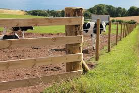 Browse our variety of fencing—shop great deals on quality products. Fencing Livestock 101 Farmtek Blog