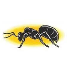 Mike sprayed our house and camper for wasps and it's.been so nice. Snake River Pest Control Pest Control 202 E 400th S Burley Id Phone Number