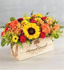 Maybe you would like to learn more about one of these? Gainesville Florist Gainesville Fl Flower Shop Prange S Florist
