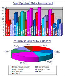 Cyberspace Ministry Spiritual Gifts Identification Service