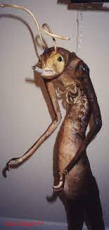 This list will not feature any aliens from men in black: Kropserkel Mib Alien Prop Replica