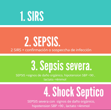 Como resultado, os órgãos internos, como os pulmões, os rins, o coração e o cérebro, geralmente recebem muito pouco sangue, causando seu mau funcionamento. Shock Septico