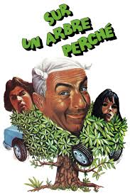 André Hoss Movies and TV Shows