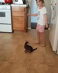 I Can Do That Too Cat And Dog Videos Funny Cats Funny Animal Videos