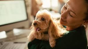 Additional Resources