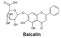 Image result for Limbrel