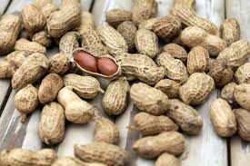 We did not find results for: Why Do High Arginine Foods Cause Cold Sore Breakouts
