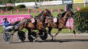 Elitloppet can be regarded as a type of annual festival or event that serves to be a sporting highlight for several swedes. Hbqc5ldwg1nn2m